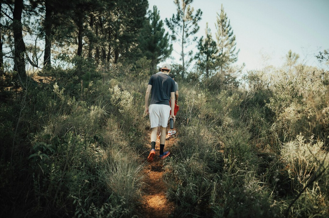 person walking in nature