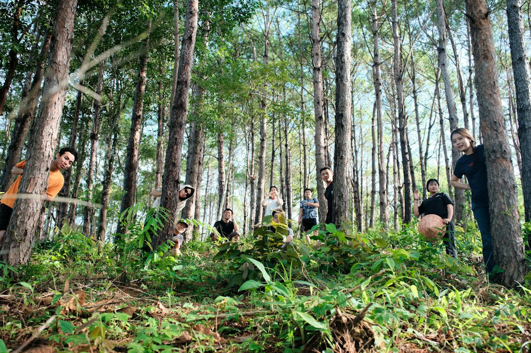group meditation in nature