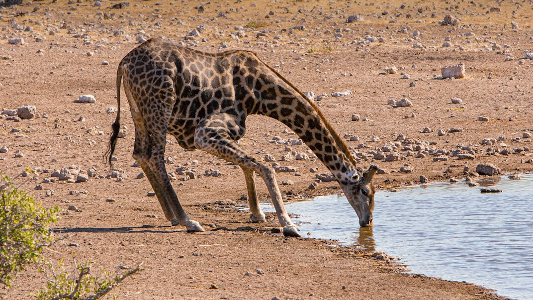 person drinking water